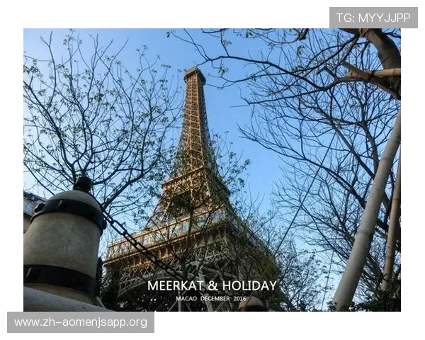 巴黎人官网大全：巴黎人官网会员制度详解及积分奖励机制全面解析