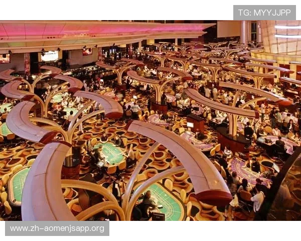 掌握金沙中国有限公司代码的实用技巧,帮助用户轻松识别公司身份与相关信息 掌握金沙中国有限公司代码的实用技巧,帮助用户轻松识别公司身份与相关信息