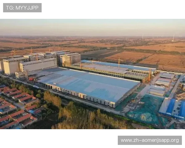 深入了解金沙河面业集团的品牌故事、企业文化及其在面粉行业中的核心竞争优势