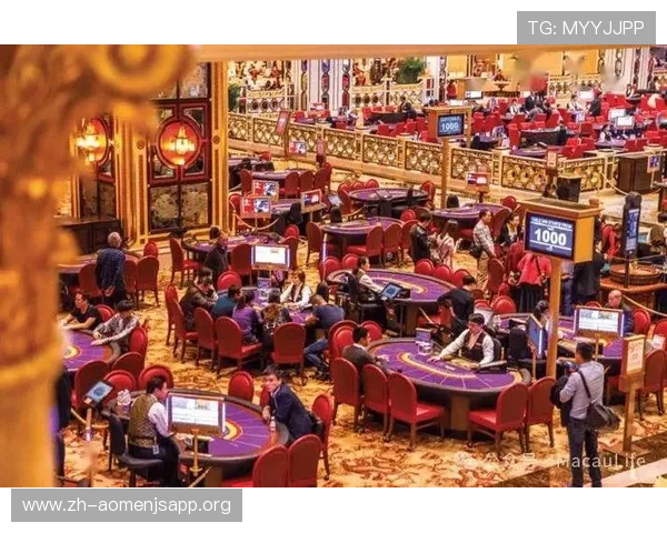 澳门的娱乐场适合家庭旅游的娱乐项目有哪些值得体验的