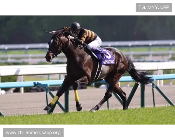 澳门赛马精彩赛事全攻略助你轻松掌握赛马规则与投注技巧